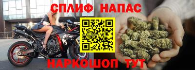 молекула духа Гатчина
