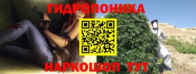 молекула духа Гатчина
