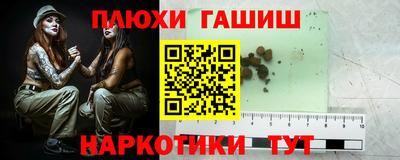молекула духа Гатчина