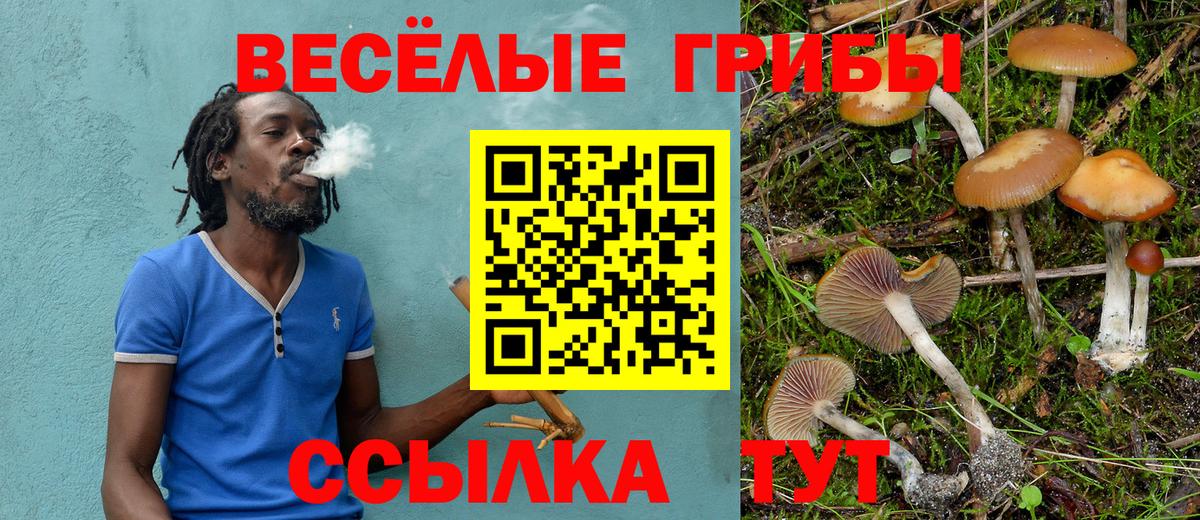 Псилоцибиновые грибы MAGIC MUSHROOMS  Вход с VPN  Благодарный 