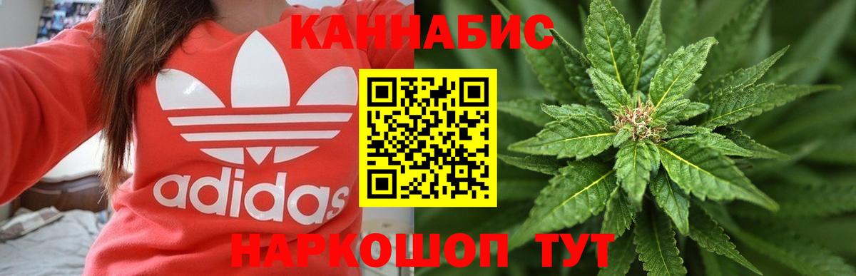 Бошки марихуана семена  Марихуана план  Благодарный  Бошки Шишки планчик  Вход с VPN 